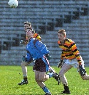 Abbey MacRory Panel in action