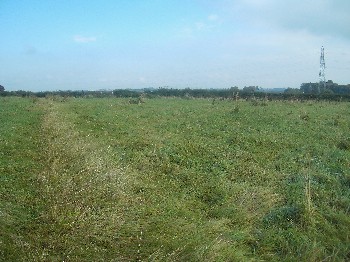 New School Site on 1st October 2007