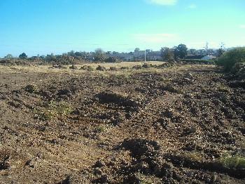 New School Site on 17 October 2007