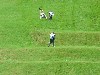 Edmund Rice Games 2002