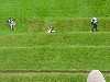 Edmund Rice Games 2002