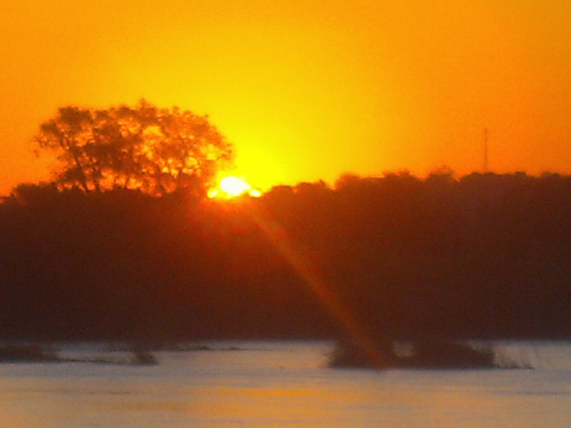 Abbey CB Grammar School - Livingstone